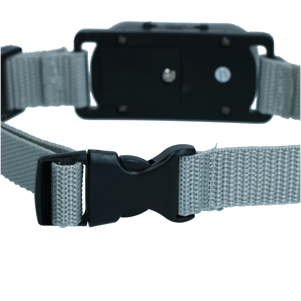 Anti Bell Halsband mit Ton und Vibration – Excellent Pets Bark-Stop Collar – Bild 4
