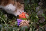 Katzenspielmaus aus Kiefernzapfen und Filz mit Madnip, Orange, 8 cm – Forest Friends Mouse – Bild 3