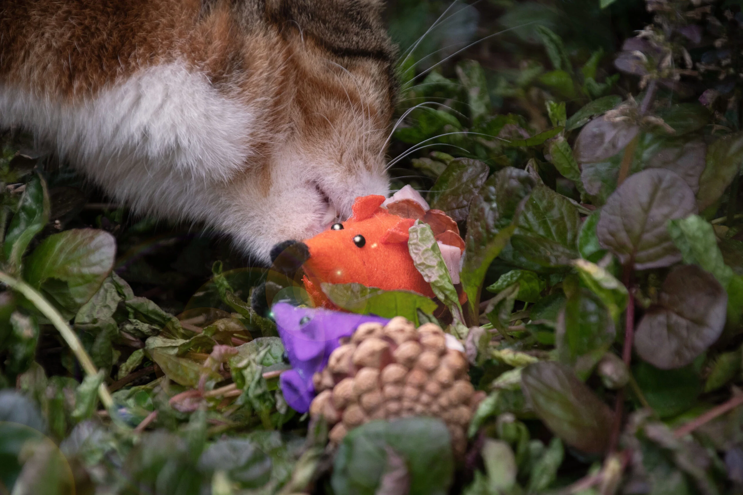 Katzenspielmaus aus Kiefernzapfen und Filz mit Madnip, Orange, 8 cm – Forest Friends Mouse – Bild 3