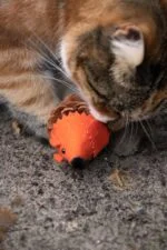 Katzenspielmaus aus Kiefernzapfen und Filz mit Madnip, Orange, 8 cm – Forest Friends Mouse – Bild 4