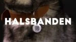 Lederhalsband für Hunde mit digitaler Hundemarke, 50 cm, Braun – Spotted! Pro – Bild 2