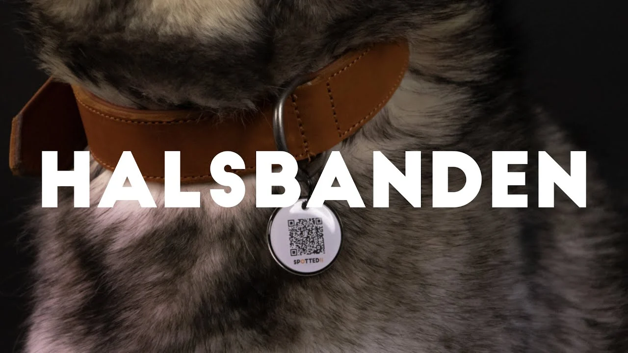 Lederhalsband für Hunde mit digitaler Hundemarke, 50 cm, Braun – Spotted! Pro – Bild 2