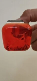 Fruchtfliegenfalle für Innenräume, 20 ml – Knock Pest – Bild 3