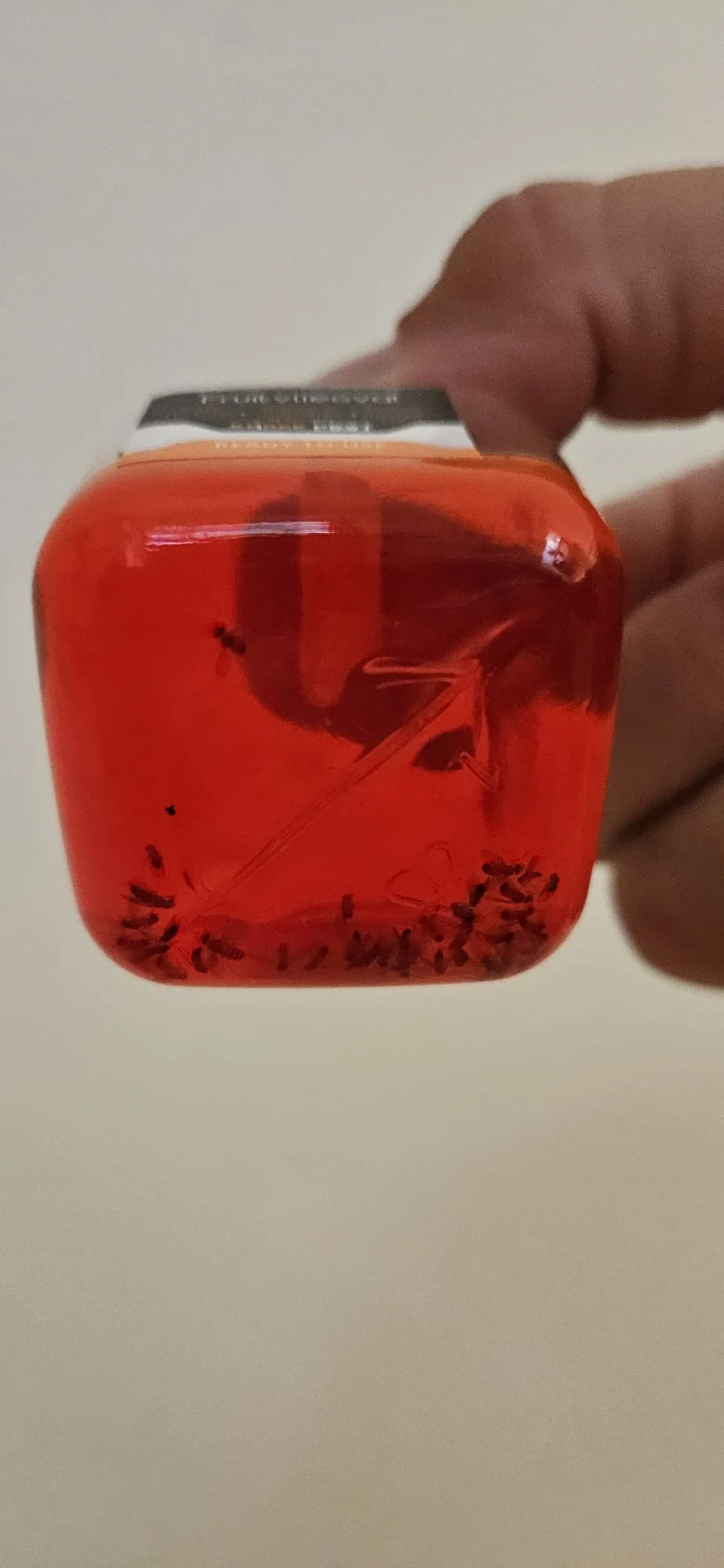 Fruchtfliegenfalle für Innenräume, 20 ml – Knock Pest – Bild 3