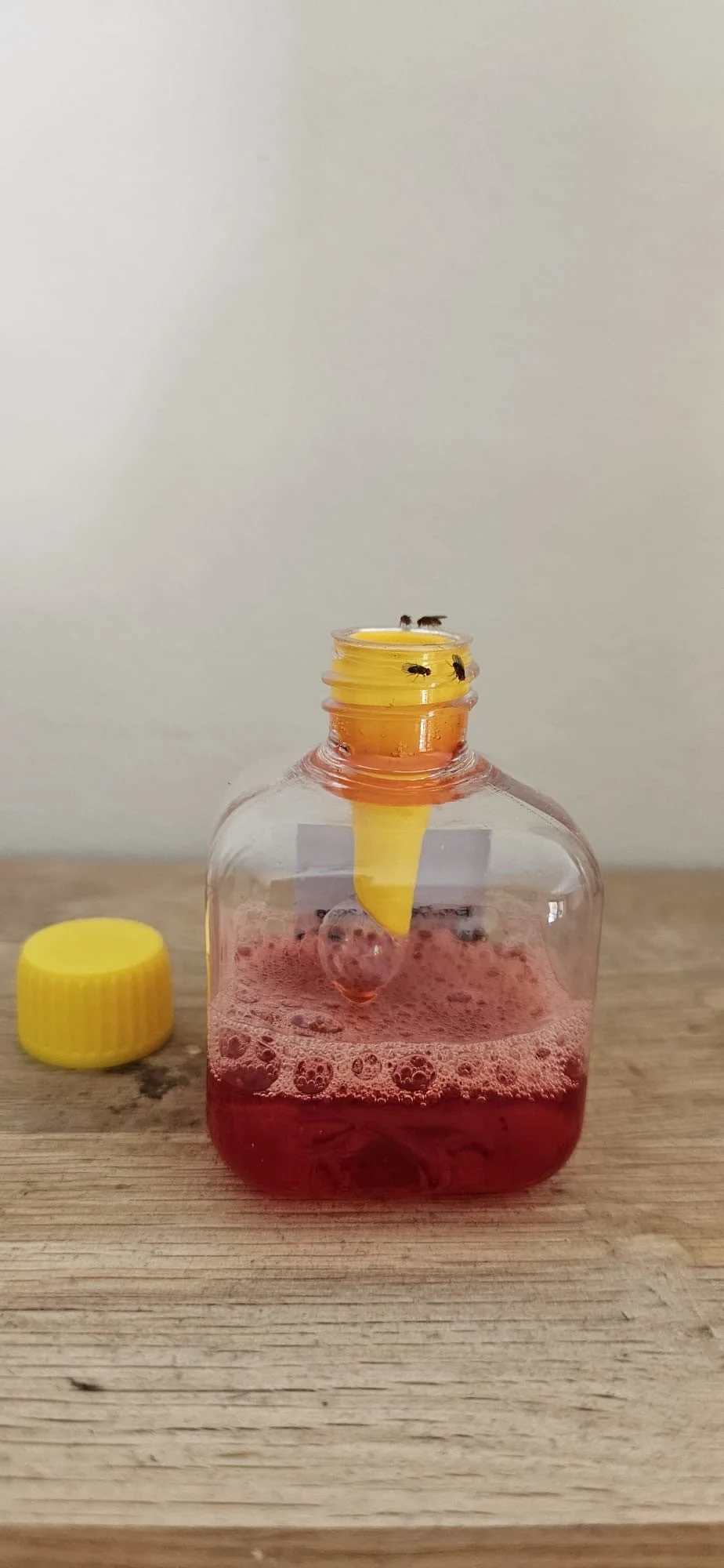 Fruchtfliegenfalle für Innenräume, 20 ml – Knock Pest – Bild 4