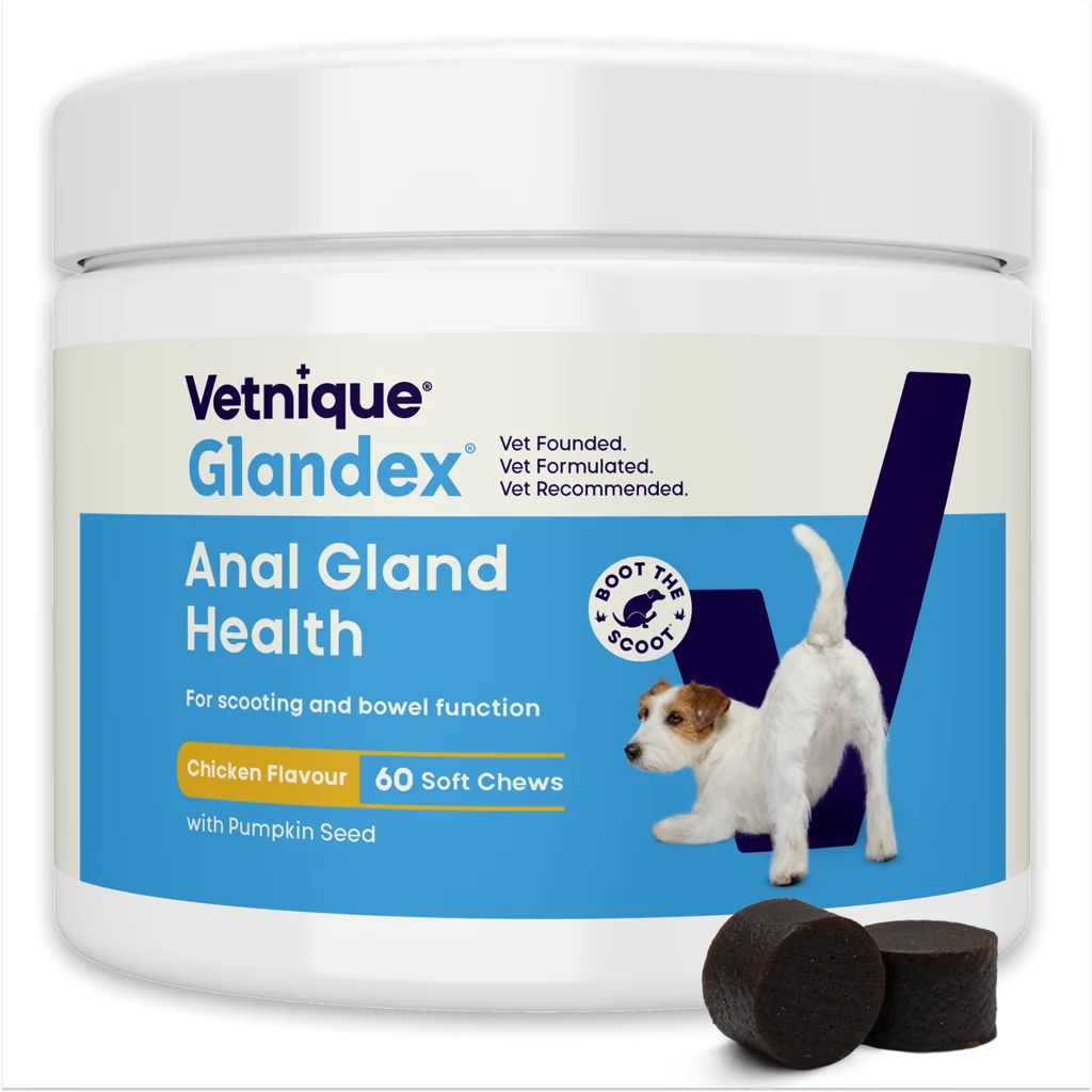 Hundesnacks mit Hähnchengeschmack und Probiotika, 60 Stück (240 g) – Glandex Soft Chews – Bild 1