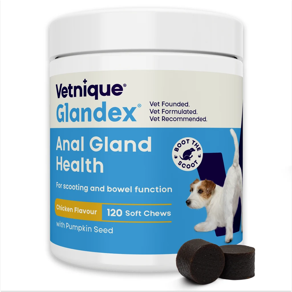 GLAN44981A.png Hundesnacks mit Hähnchengeschmack und Probiotika, 120 Stück (480 g) – Glandex Soft Chews – Bild 1
