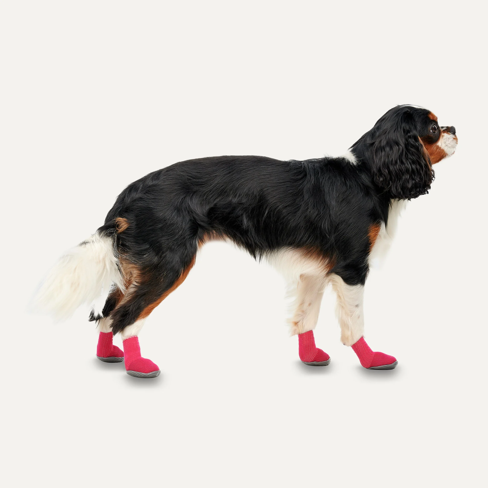 Hundeschuhe mit rutschfester Sohle, wasserdicht, Größe XS, Rot und Schwarz, 2 Stück – Goo-eez Ultras – Bild 2