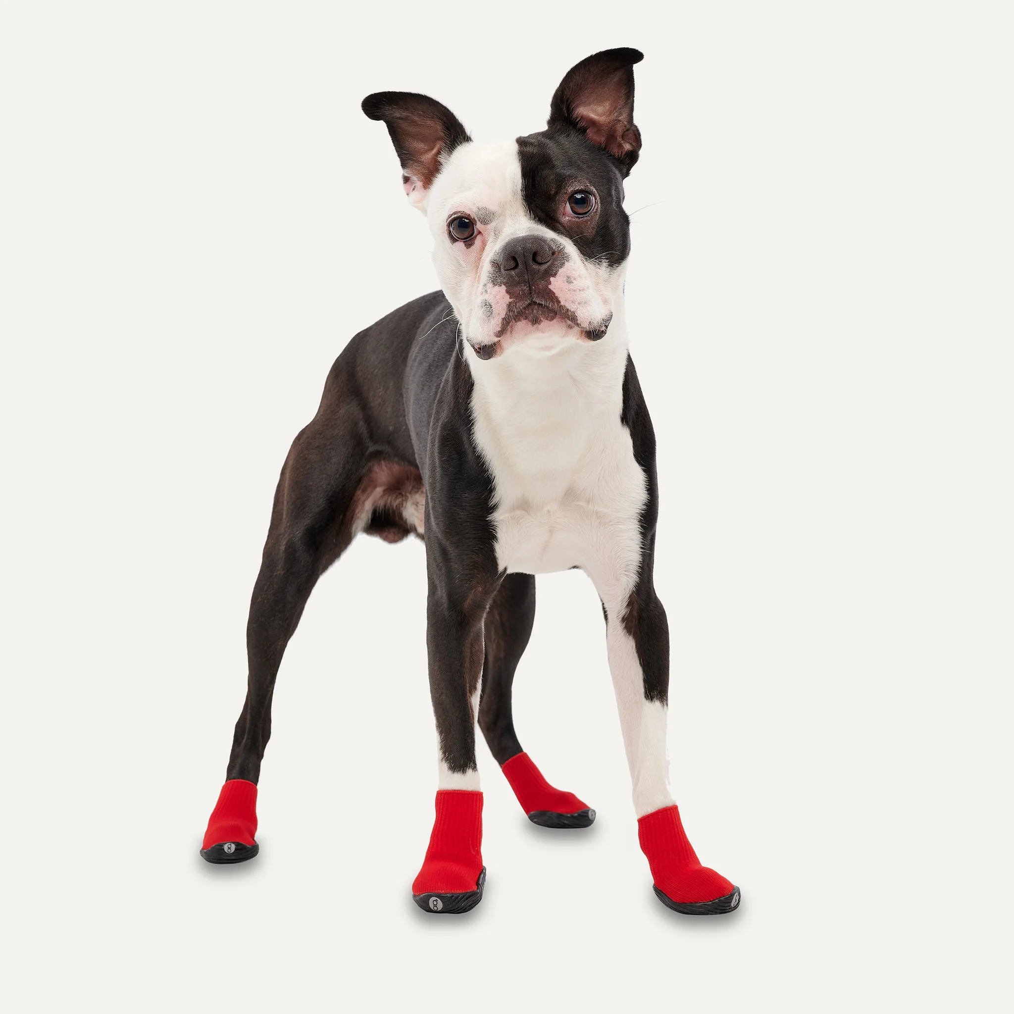 Wasserdichte Hundeschuhe mit rutschfester Sohle, Größe S, Rot und Schwarz, 2 Stück – Goo-eez Ultras – Bild 3