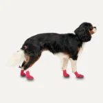 Wasserdichte Hundeschuhe mit rutschfester Sohle, Größe L, Rot und Schwarz, 2 Stück – Goo-eez Ultras – Bild 2