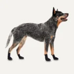 Hundeschuhe mit Gummisohle, wasserdicht, Größe XXS, Schwarz, 4 Stück – Goo-eez Lites – Bild 2