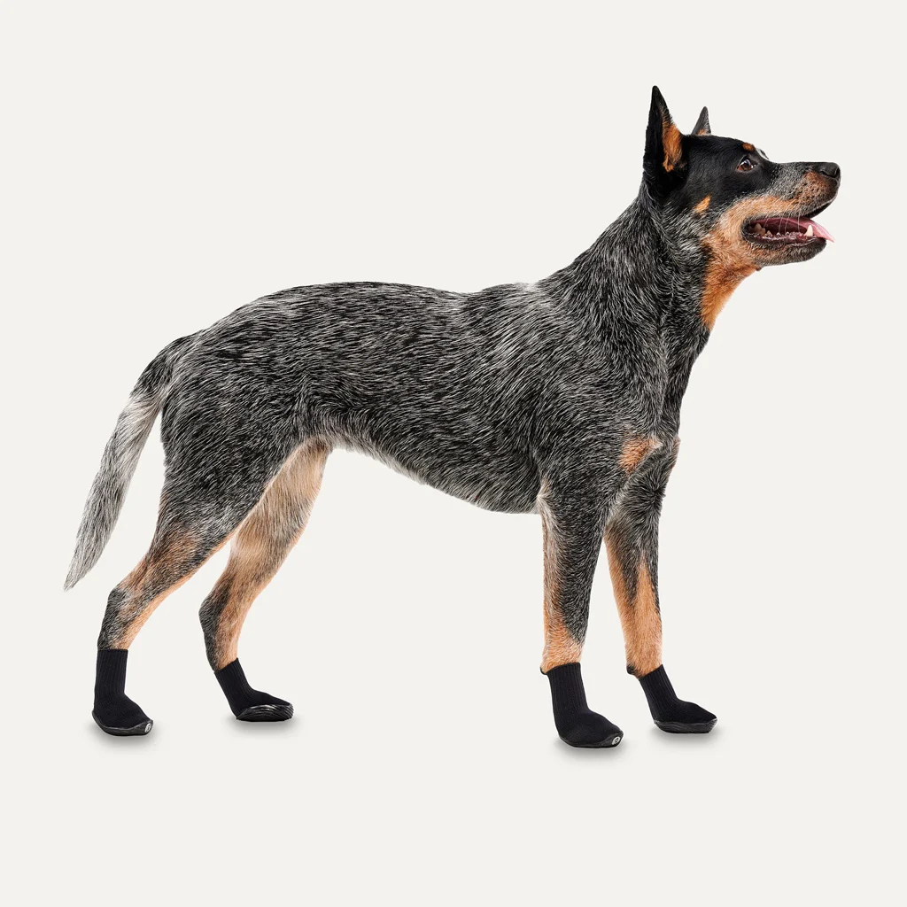 Wasserdichte Hundeschuhe mit Gummisohle, 4 Stück, XS, Schwarz – Goo-eez Lites – Bild 2