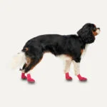 Wasserdichte Hundeschuhe mit Gummisohle, 4 Stück, XXS, Rot und Schwarz – Goo-eez Lites – Bild 2