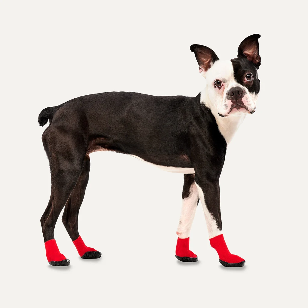 Wasserdichte Hundeschuhe mit Gummisohle, 4 Stück, XXS, Rot und Schwarz – Goo-eez Lites – Bild 3