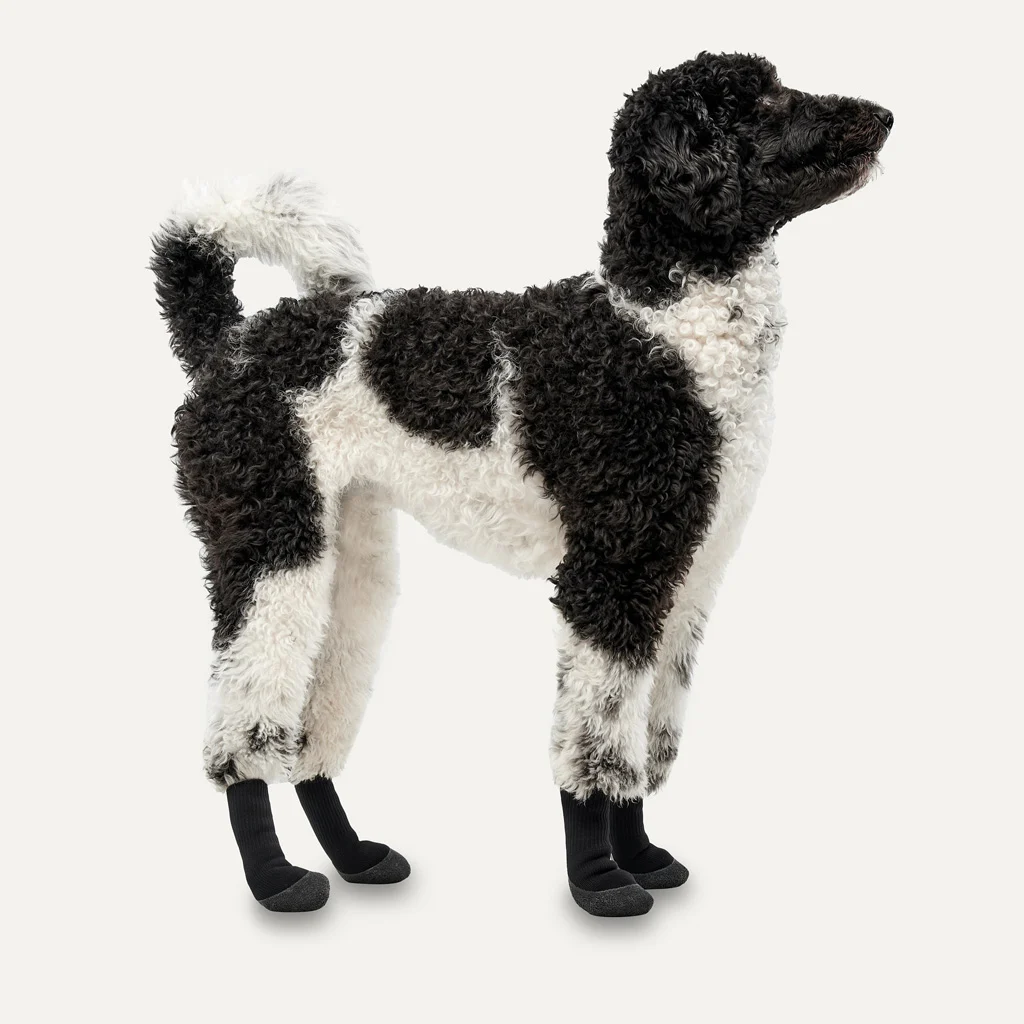 Wasserdichte Hundeschuhe mit Gummisohle, 4 Stück, M, Camouflage und Schwarz – Goo-eez Lites – Bild 2