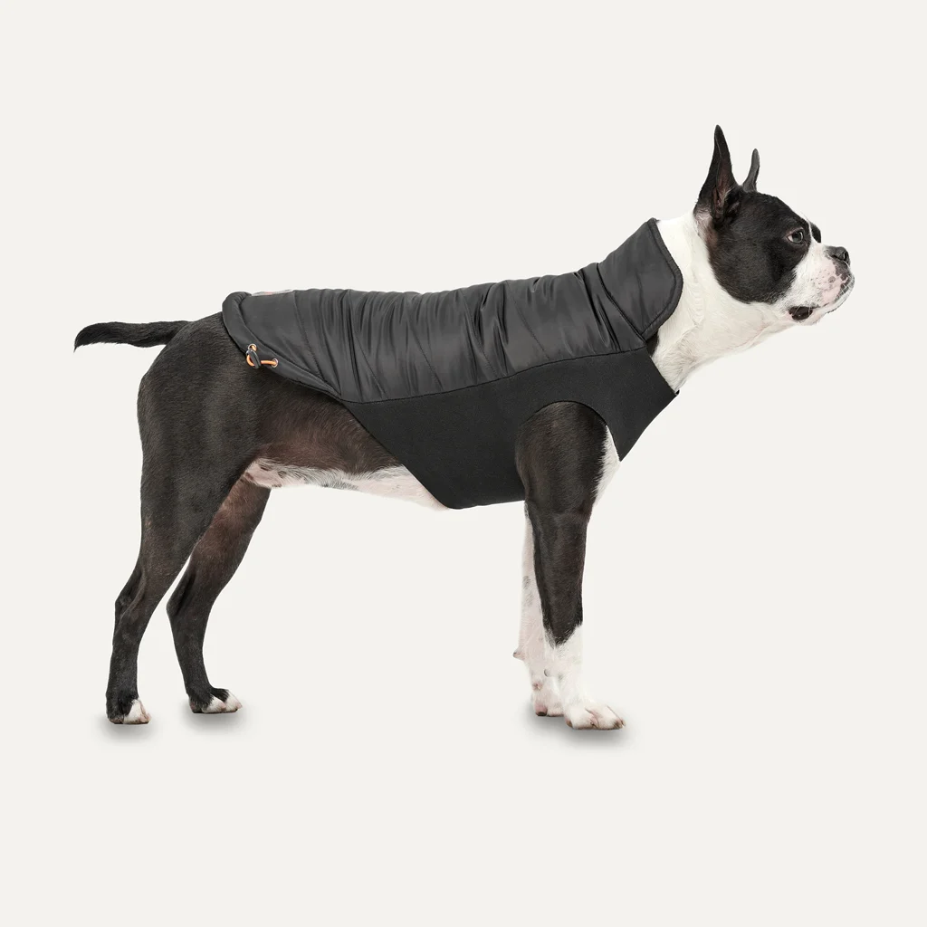 Hundejacke mit Plüschfutter und wasserabweisender Außenseite, Größe XXL, schwarz – Goo-eez Mock Neck Signature Wrap Jacket – Bild 2