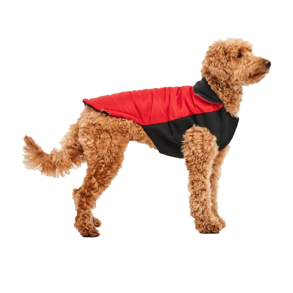 Hundemantel mit Plüschfutter und wasserabweisendem Obermaterial, Größe XS, Rot und Schwarz – Goo-eez Mock Neck Signature Wrap Jacket