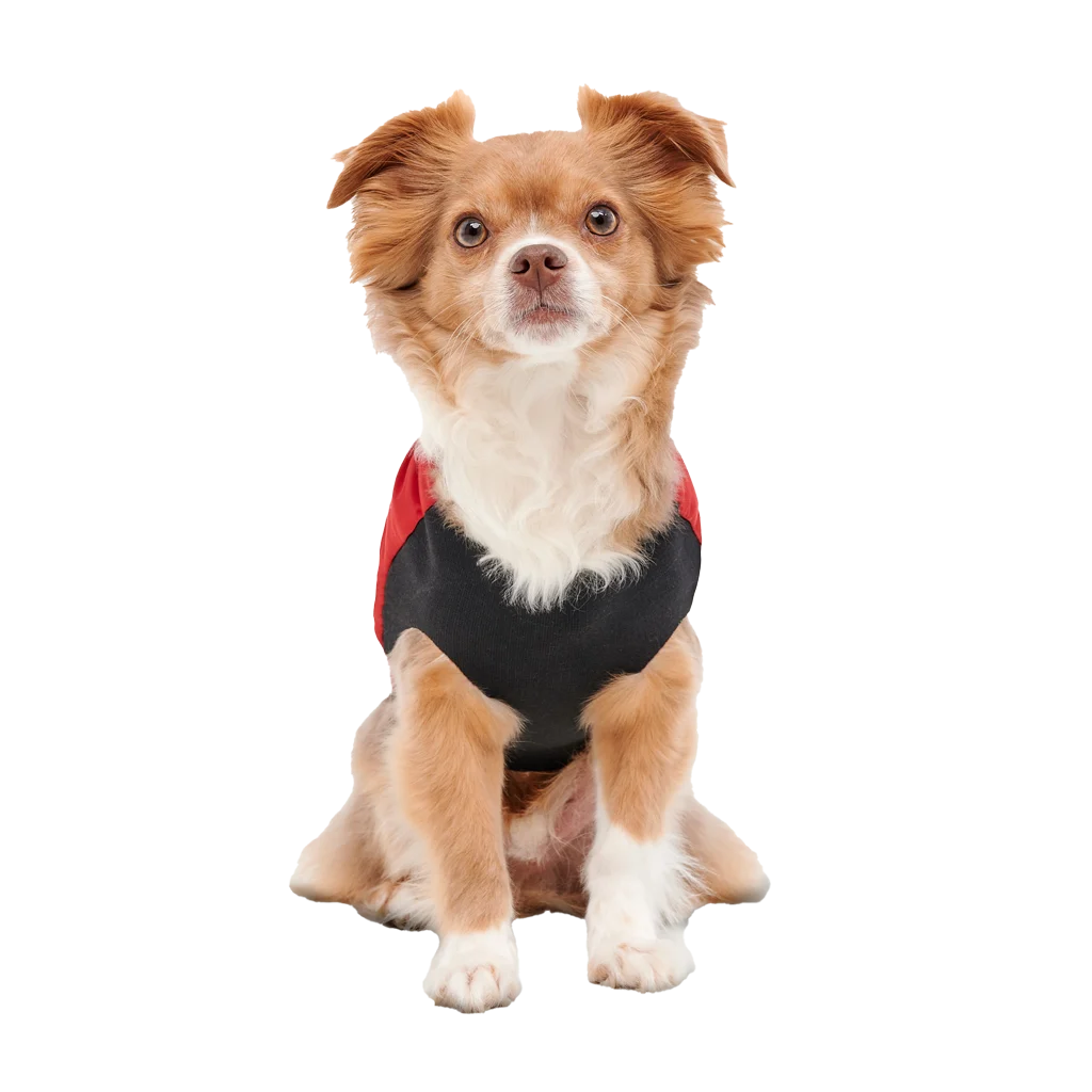 Hundemantel mit Plüschfutter und wasserabweisendem Obermaterial, Größe XS, Rot und Schwarz – Goo-eez Mock Neck Signature Wrap Jacket – Bild 5