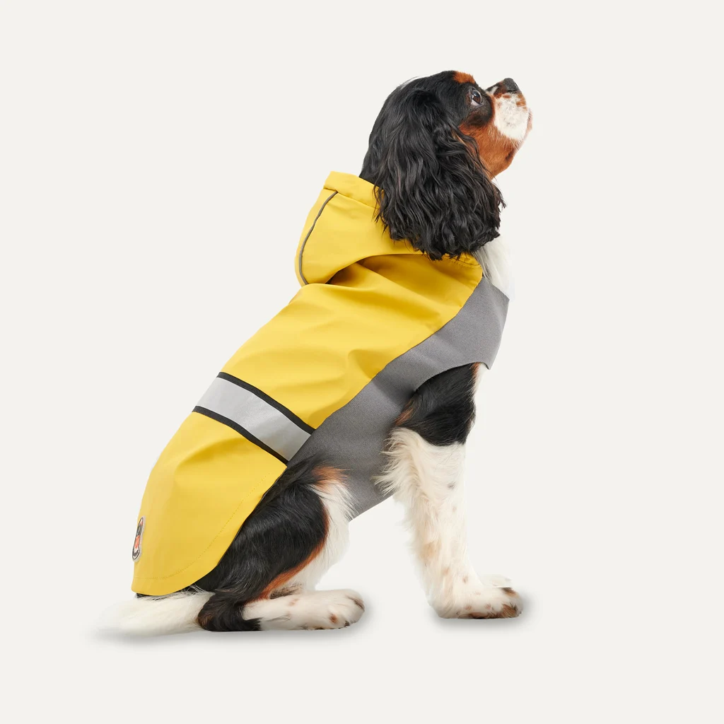 GOOE052B.png Hunderegenjacke mit Kapuze und reflektierendem Rand, XS, Rückenlänge 29 cm, Gelb und Grau – Goo-eez Reflective Hooded Raincoat – Bild 1