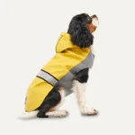 Hunde Regenmantel mit Kapuze und reflektierendem Rand, XXL, Rückenlänge 64 cm, Gelb und Grau – Goo-eez Reflective Hooded Raincoat