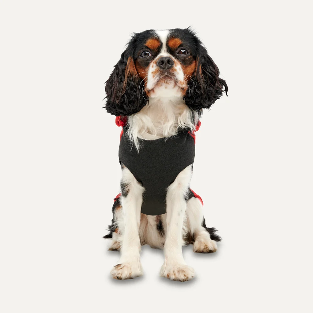 Hundehoodie mit Plüschfutter, Rot und Schwarz, XXS – Goo-eez Kangaroo Fleece Hoodie – Bild 2