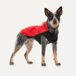 Hunde Fleece Hoodie mit Plüschfutter, Größe XXL, rot und schwarz – Goo-eez Kangaroo Fleece Hoodie – Bild 3