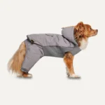 Hundeschneeanzug mit Kapuze, wasserdicht, L, 52 cm Rückenlänge, Grau – Goo-eez Hooded Full Body Snowsuit