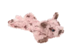 Plüschspielzeug für Hunde mit 5 Quietschern und Knisterfolie – Growl Cuddlerz Snorters das Schwein – Bild 3