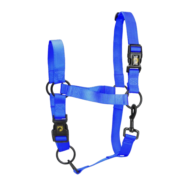 Nylonhalfter mit verstellbarem Nasenriemen, Blau XS – Excellent Essential