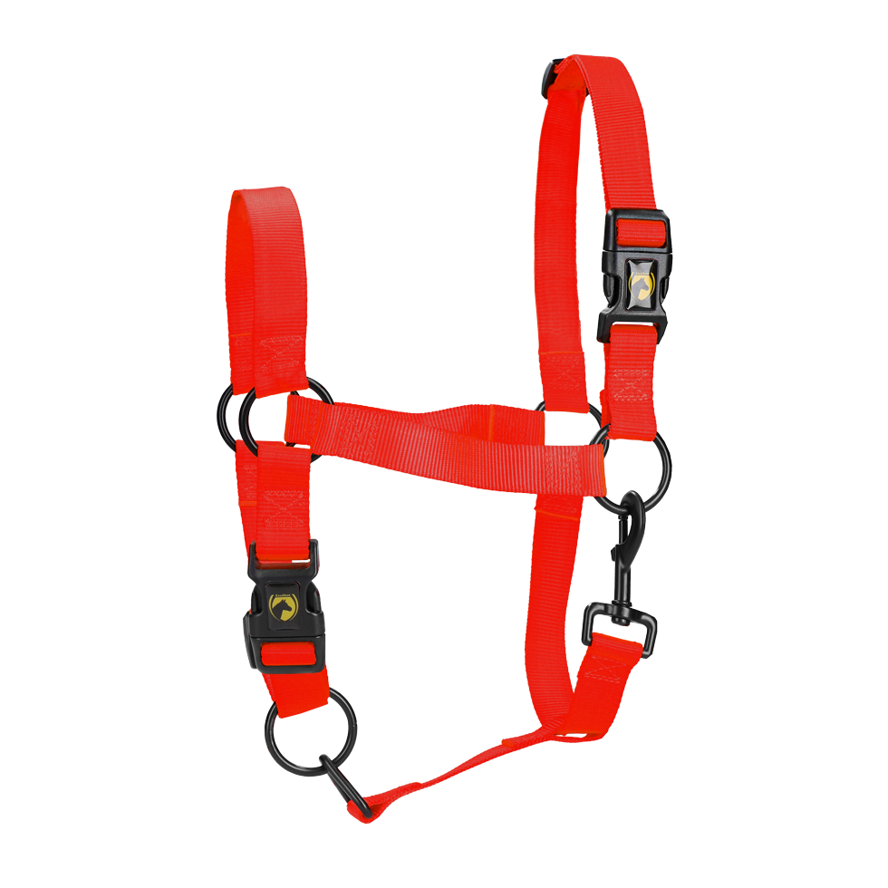 Halster van Nylon met Verstelbare Neusriem en Kopstuk, Rood XS – Excellent Essential Nylonhalfter mit verstellbarem Nasenriemen und Genickstück, Rot XS – Excellent Essential