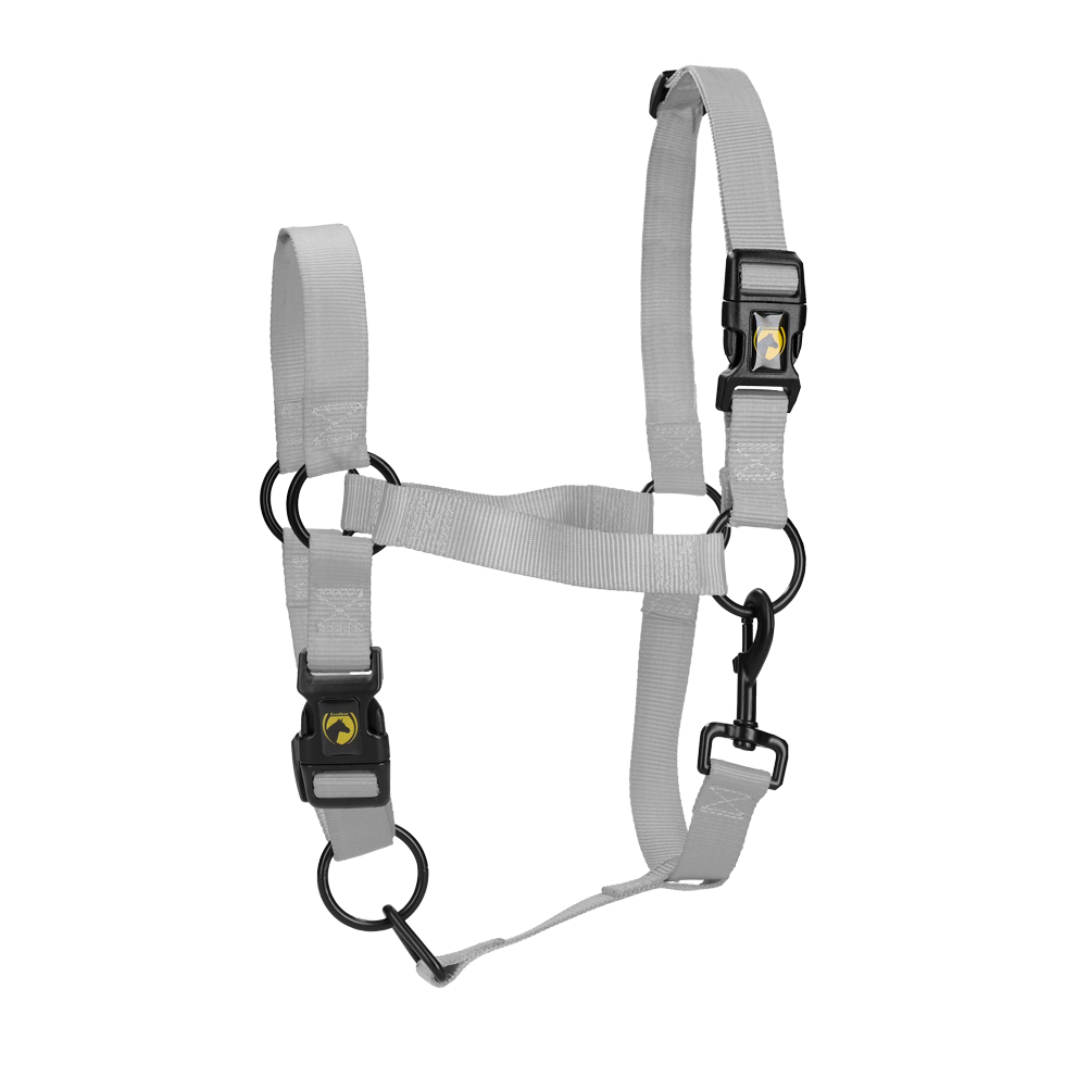 Halster van Nylon met Verstelbare Neusriem, Grijs M – Excellent Essential Nylonhalfter mit verstellbarem Nasenriemen, Grau M – Excellent Essential