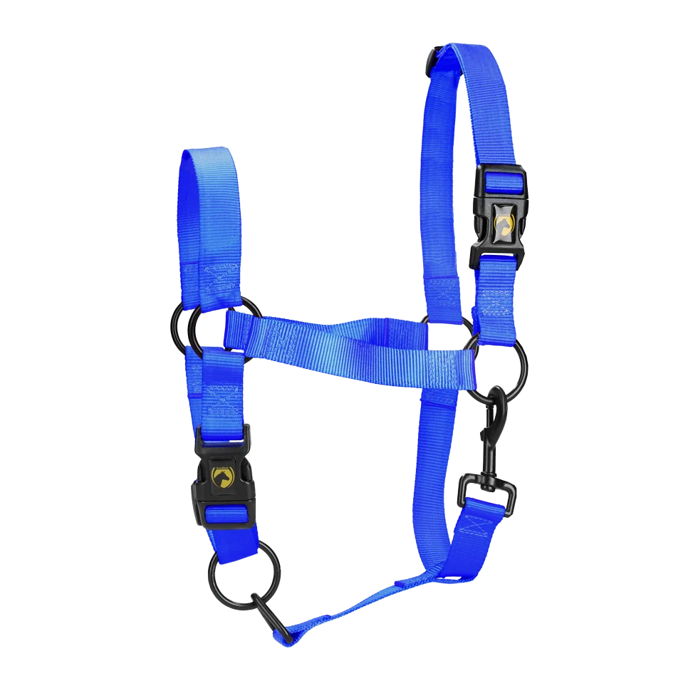 Nylonhalfter mit verstellbarem Nasenriemen, Blau XL – Excellent Essential – Bild 1