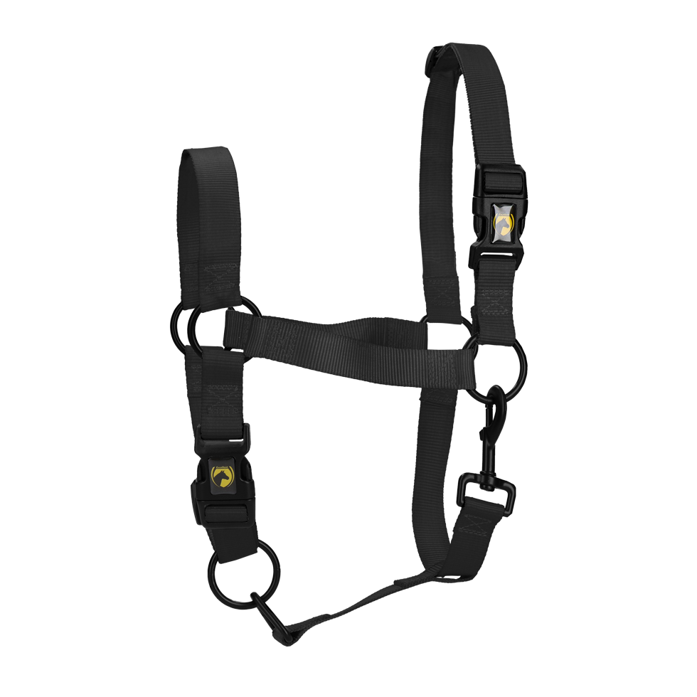 Halster van Nylon met Verstelbare Neusriem en Kopstuk, Zwart XL – Excellent Essential Nylonhalfter mit verstellbarem Nasenriemen und Genickstück, Schwarz, XL – Excellent Essential