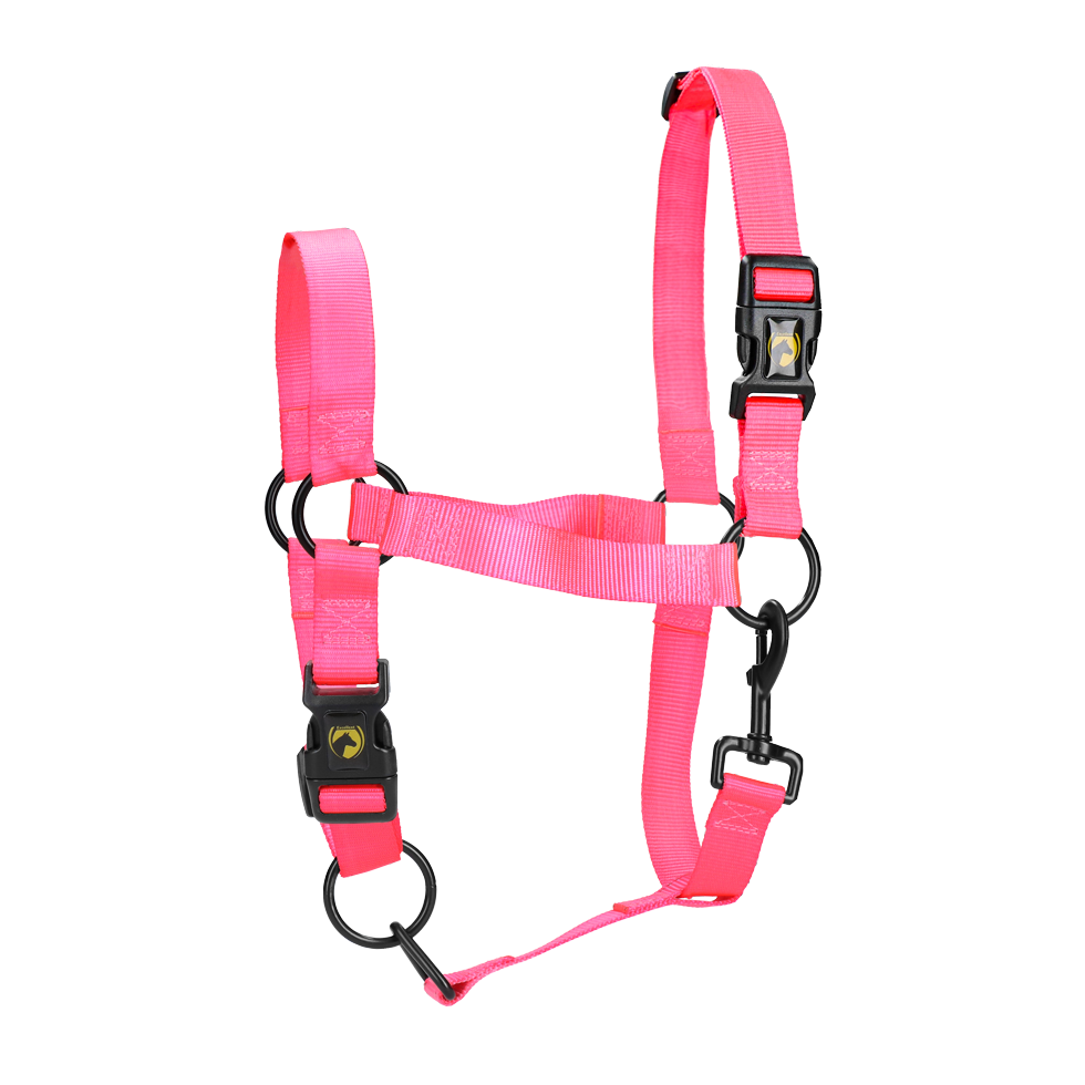 Halster van Nylon met Verstelbare Neusriem en Kopstuk, Roze XL – Excellent Essential Nylonhalfter mit verstellbarem Nasenriemen und Genickstück, Rosa XL – Excellent Essential