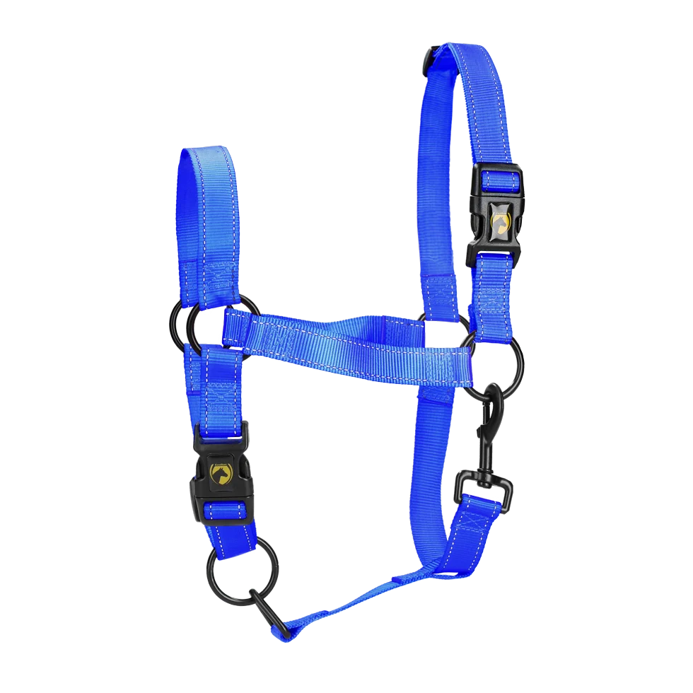 Nylonhalfter mit reflektierenden Details Blau XS – Excellent Premium – Bild 1