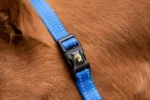 Nylonhalfter mit reflektierenden Details Blau XS – Excellent Premium – Bild 4