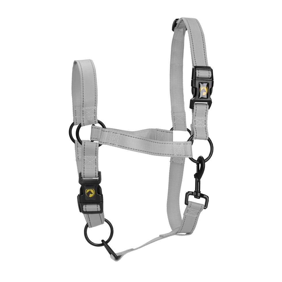 Halster van Nylon met Reflecterende Details Grijs XS – Excellent Premium Nylonhalfter mit reflektierenden Details Grau XS – Excellent Premium