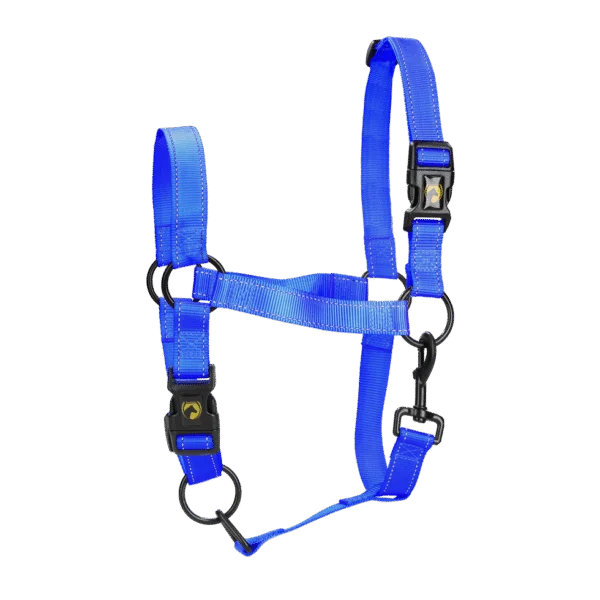 Nylonhalfter mit reflektierenden Details, Blau, M – Excellent Premium