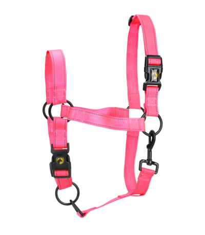 Nylonhalfter mit reflektierenden Details, Rosa M – Excellent Premium