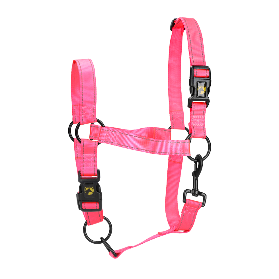 Halster van Nylon met Reflecterende Details, Roze M – Excellent Premium Nylonhalfter mit reflektierenden Details, Rosa M – Excellent Premium