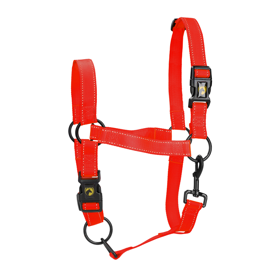 Halster van Nylon met Reflecterende Details Rood L – Excellent Premium Nylonhalfter mit reflektierenden Details, Rot L – Excellent Premium