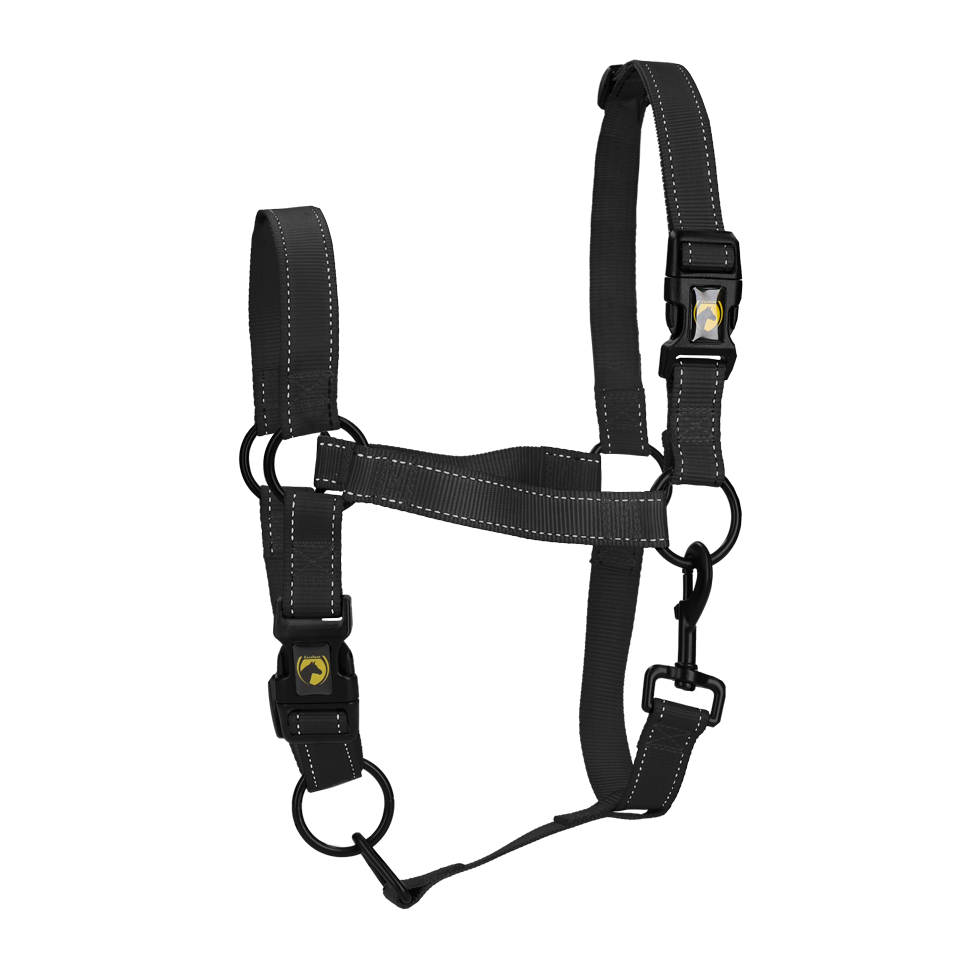 Halster van Nylon met Reflecterende Details, Zwart L – Excellent Premium Nylonhalfter mit reflektierenden Details, Schwarz L – Excellent Premium
