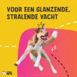 Hautpflegeöl für Hunde mit Hanfsamenöl, 10 ml – Excellent Pets HempOne Oil – Bild 4