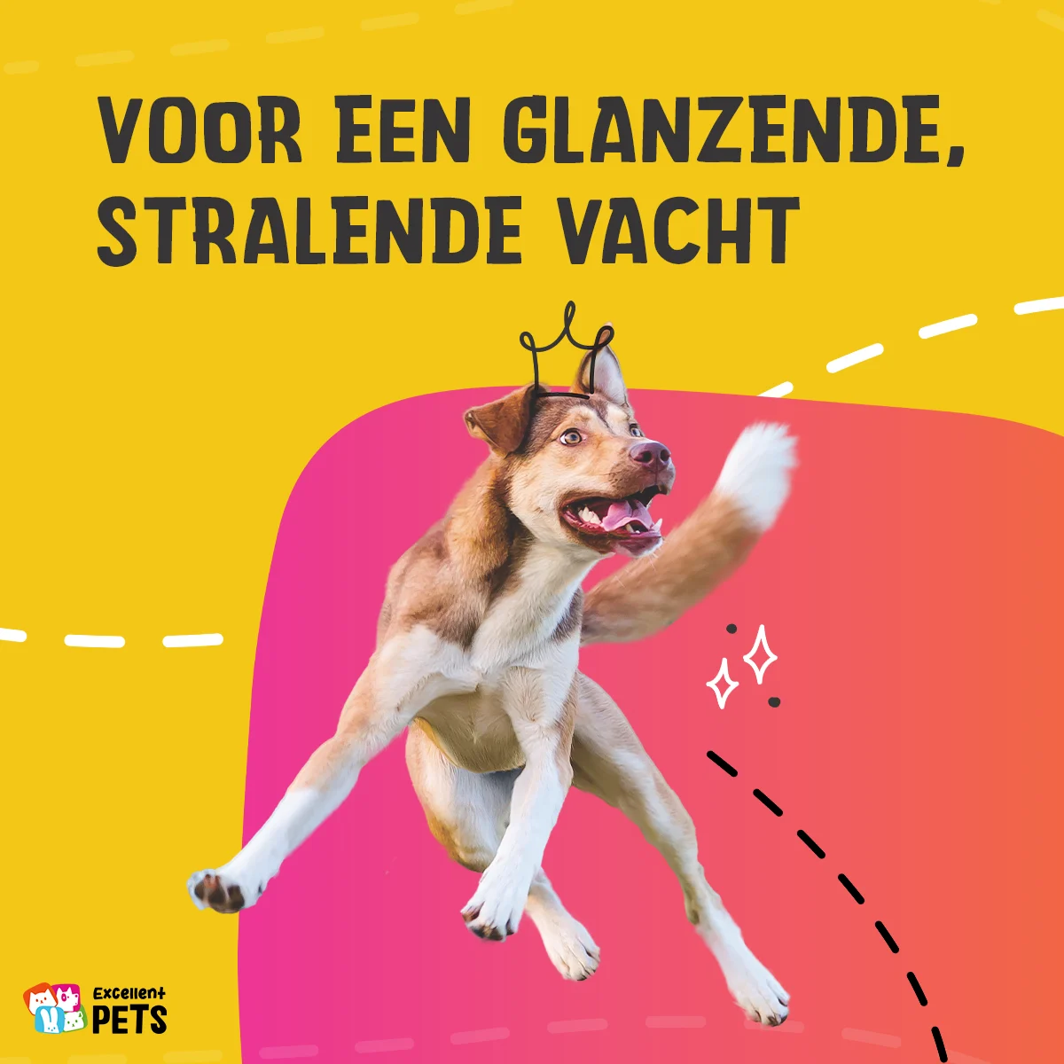 Hautpflegeöl für Hunde mit Hanfsamenöl, 20 ml – Excellent Pets HempOne Oil – Bild 4