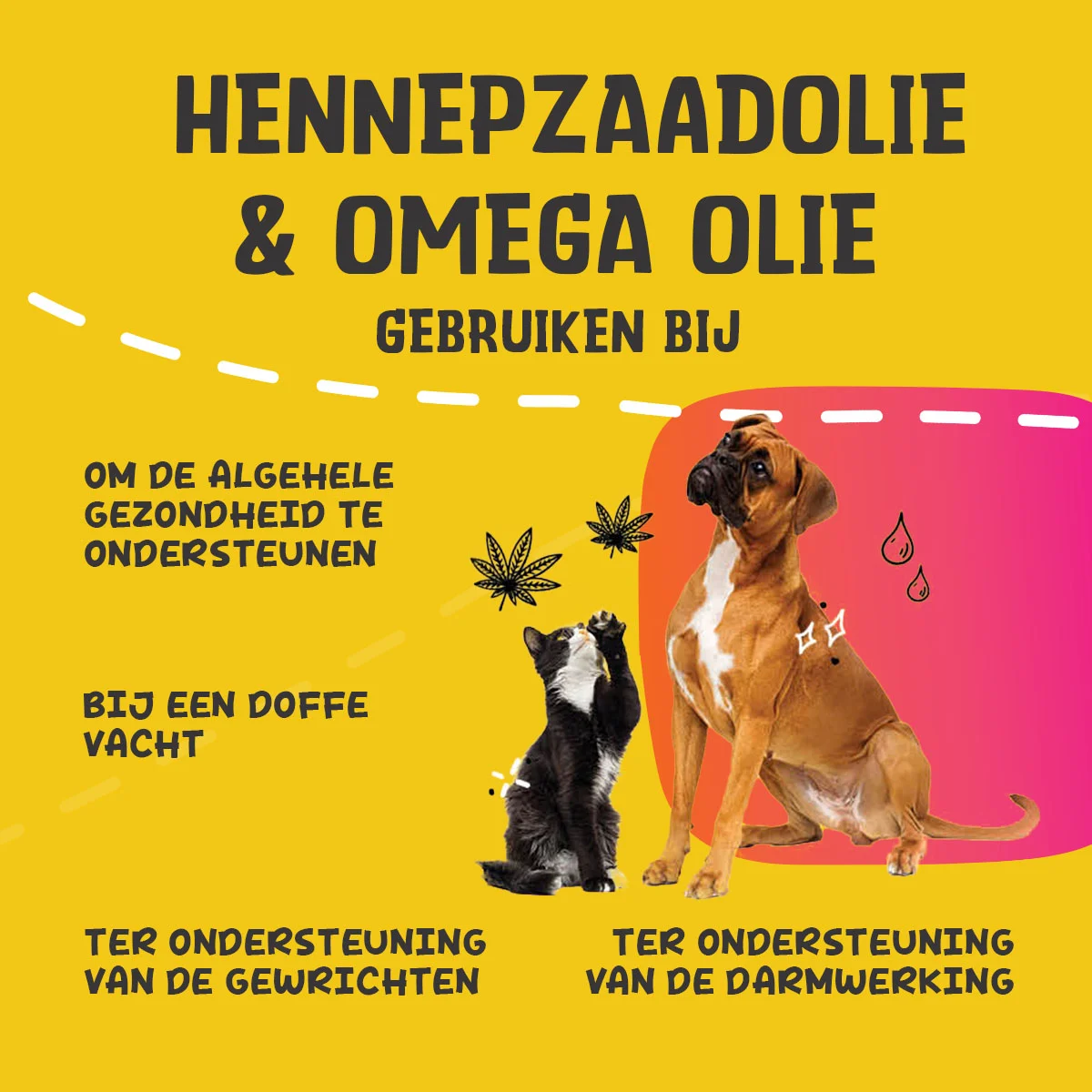 Ölmischung für Hunde und Katzen mit Hanfsamenöl, 250 ml – Excellent Pets HempOne + Omega Oil – Bild 6