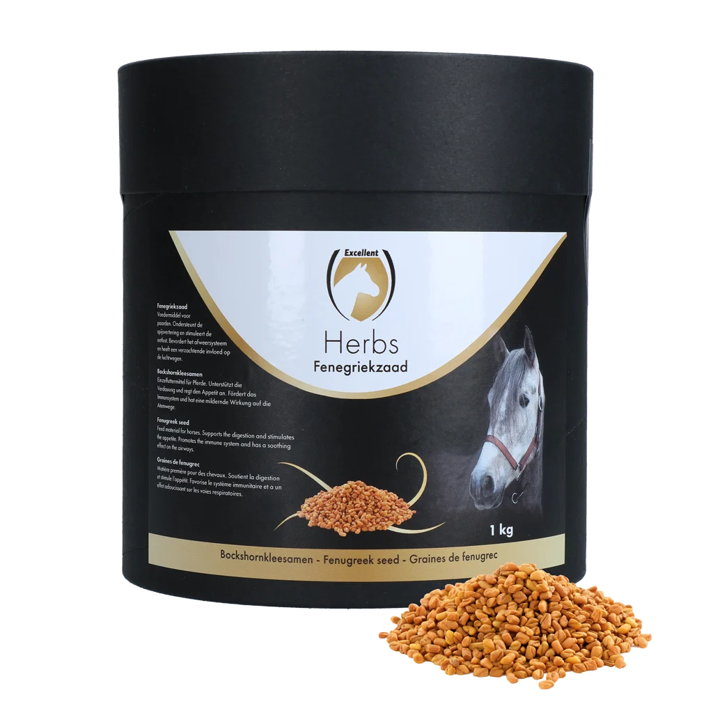 Bockshornkleesamen für Pferde, 1 kg – Excellent Horse Herbs Bockshornkleesamen – Bild 1