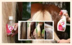 Mähnenspray für Mähne und Schweif, entwirrend, 500 ml – Excellent Horse Hi Gloss Spray – Bild 2