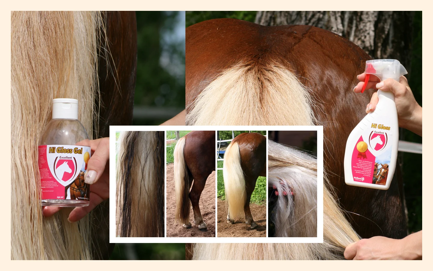 Mähnenspray für Mähne und Schweif, entwirrend, 500 ml – Excellent Horse Hi Gloss Spray – Bild 2