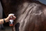 Glitzerspray für Fell, Mähne und Schweif, 250 ml – Excellent Horse Hi Gloss Glitter Spray Orange – Bild 2