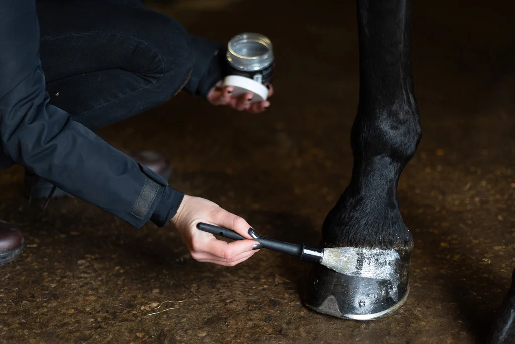Silberner Glitzerhuflack, 150 ml – Excellent Horse Hi Gloss Glitter Hoof Polish – Bild 3